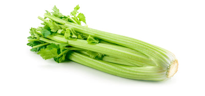 Fresh Celery
