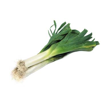 Fresh Leeks