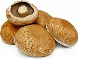 Portabello Mushrooms