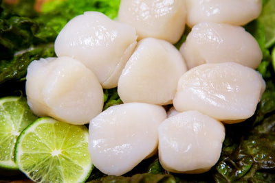 East Coast Dry Scallops