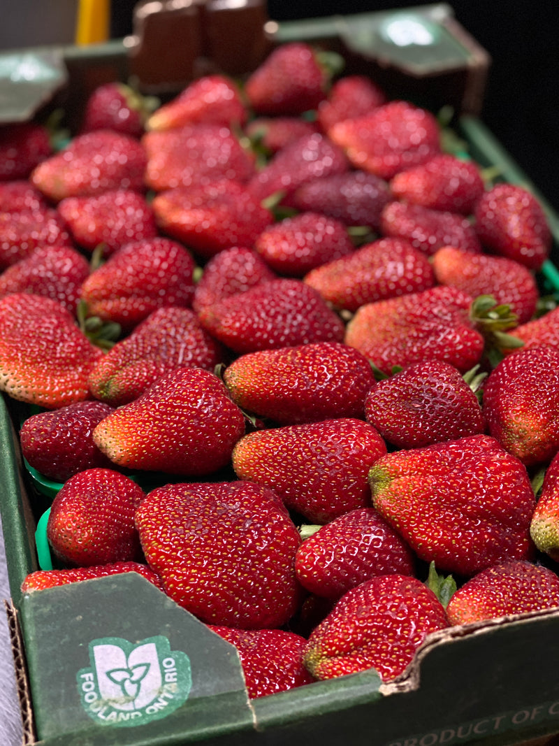 Fresh Ontario Strawberries