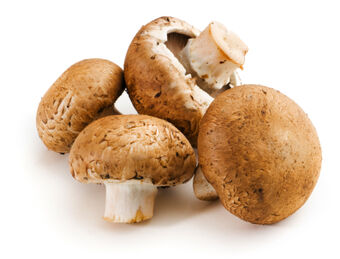 Brown (Cremini) Mushrooms