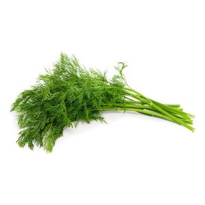 Fresh Dill