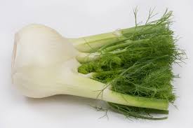 Large Fennel