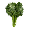 Fresh Green Kale