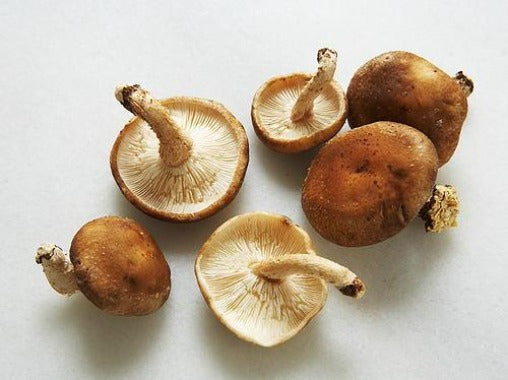 Organic Shitaki Mushrooms